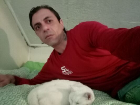  Warszawa,   Thomas, 42 ,     , c 