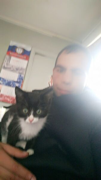  ,   , 47 ,   ,   , c 