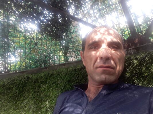  ,   , 41 ,   ,   