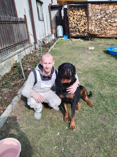  Plzen,   , 33 ,   ,   , c , 