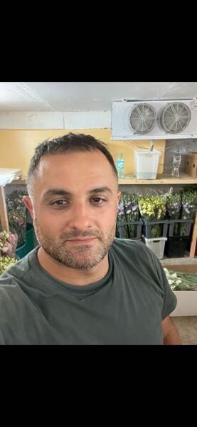  ,   , 43 ,   ,   