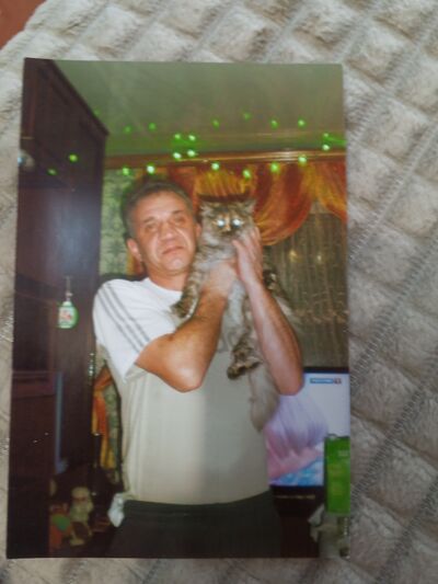  ,   , 48 ,   ,   