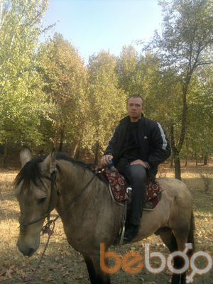  ,   Anvar, 37 ,   ,   , c 