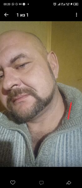  ,   , 46 ,   