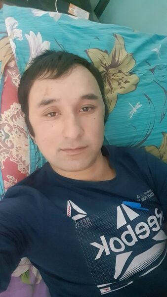  ,   Shamilbek, 29 ,     , c 