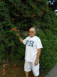  ,   , 71 ,   ,   , c 