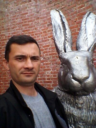  ,   , 46 ,  
