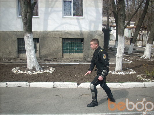  3293491  Sereoja, 33 ,    