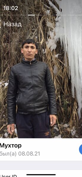  ,   Hikmat, 42 ,     , c 