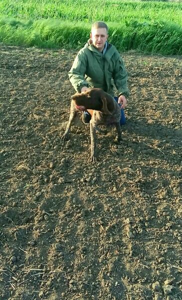  --,   , 33 ,   ,   , 