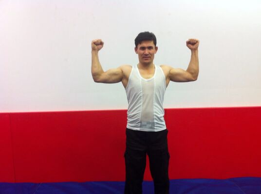  ,   Zierat, 41 ,   ,   
