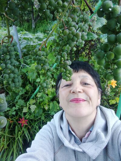  ,   , 63 ,   ,   , c 