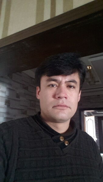  ,   , 43 ,  