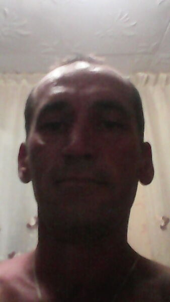  ,   , 46 ,   