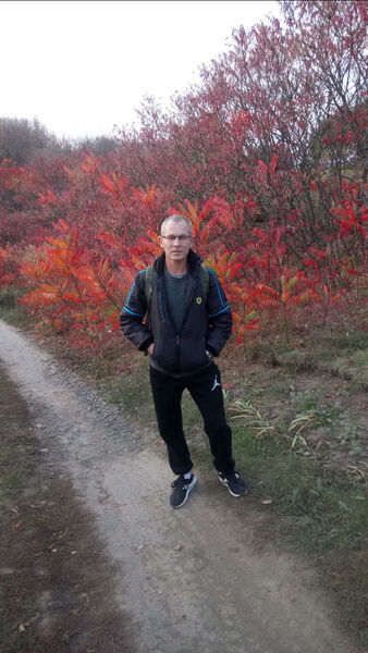  ,   , 49 ,   