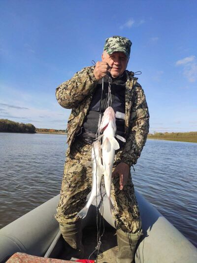 ,   Vova, 62 ,   ,   