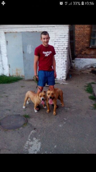  ,   , 30 ,   