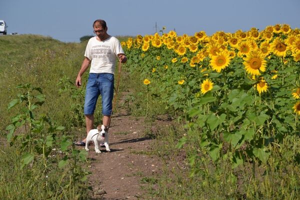  ,   Malikov, 53 ,   ,   , c 