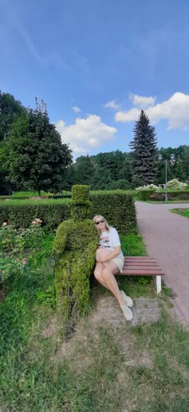  --,   , 55 ,   ,   