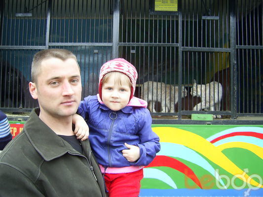  3120641  Oleg, 45 ,    