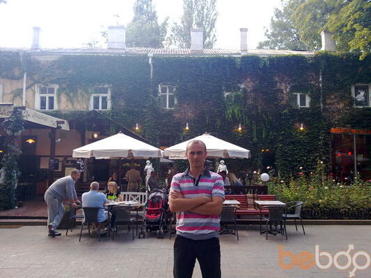  ,   Koleabus, 41 ,   