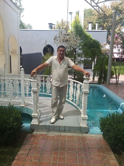  ,   Hayot, 50 ,   ,   , c 