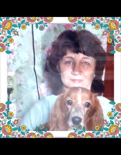  ,   , 56 ,  