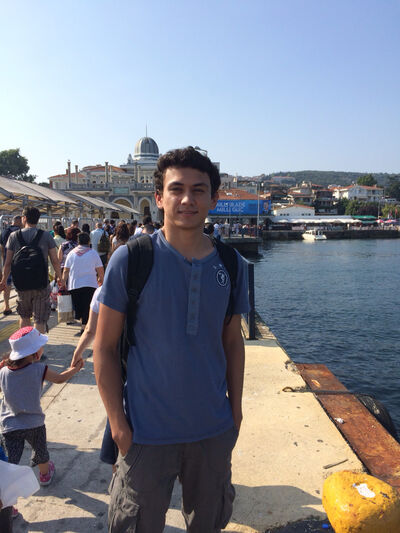 ,   Amid, 33 ,   