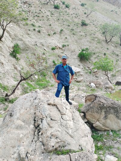  ,   Zoir, 54 ,   ,   
