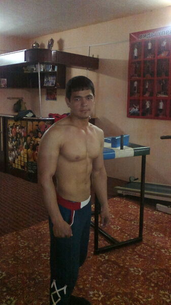  ,   PitBul, 37 ,   ,   , c , 