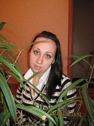  -,   , 40 ,  