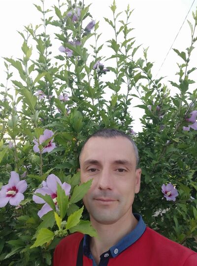  ,   , 45 ,  