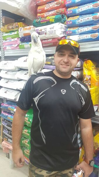  Ashqelon,   , 38 ,   ,   , c 