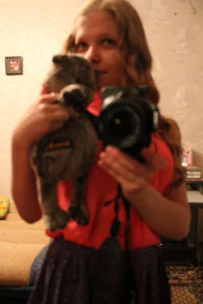  ,   , 21 ,   ,   , c 