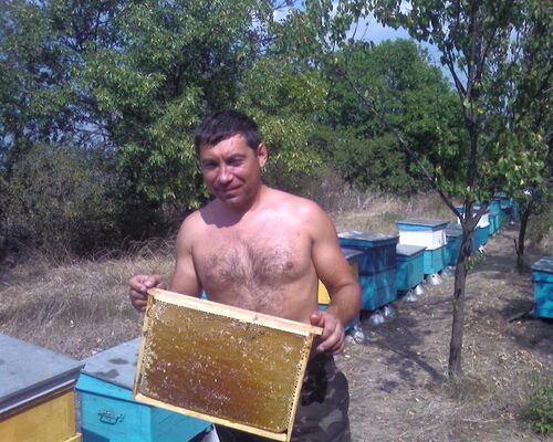  ,   , 53 ,     , c 