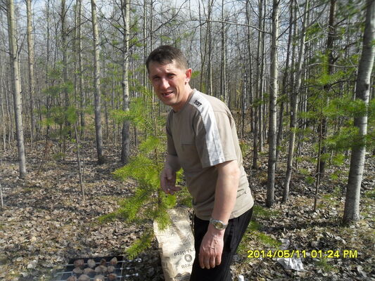  ,   , 54 ,   