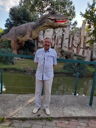 ,   , 70 ,   ,   