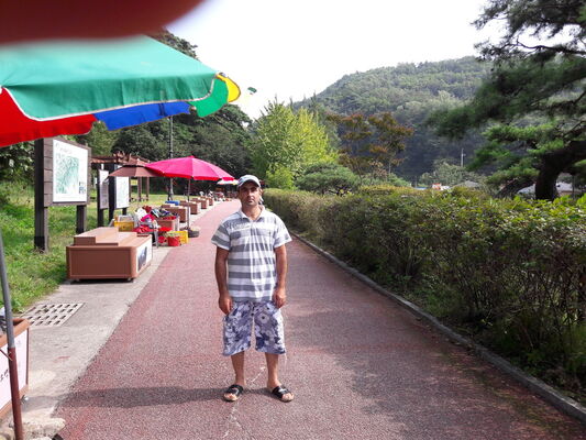  ,   Zoir, 41 ,   ,   , c , 