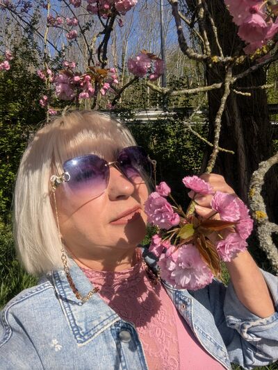  Aalst,   , 55 ,     , c 