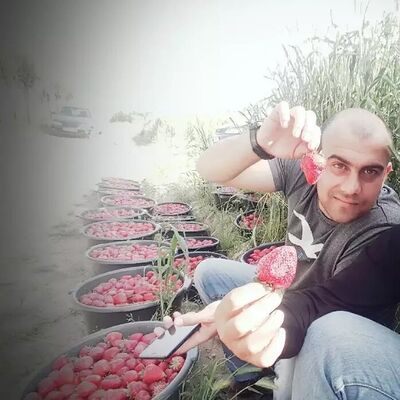  ,   Askar, 37 ,   ,   , c , 