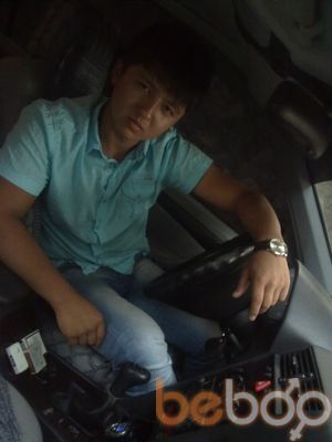  ,   Nur, 33 ,   