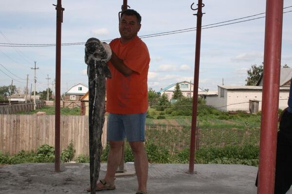  ,   Comkey, 55 ,   