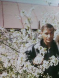  ,   ϸ, 52 ,   