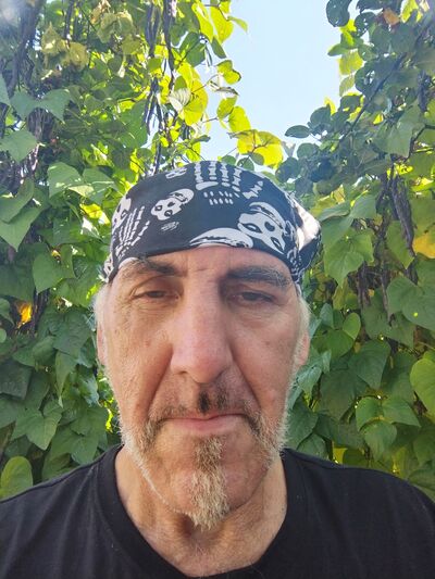  ,    , 62 ,   