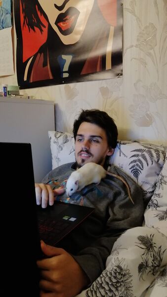  -,   Ivan, 26 ,   ,   