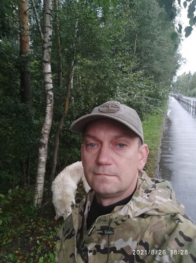  ,   , 51 ,   ,   