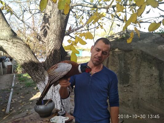  ,   , 49 ,   ,   , c 