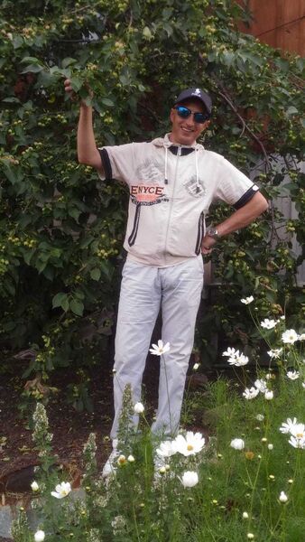  ,   , 53 ,   ,   , c , 