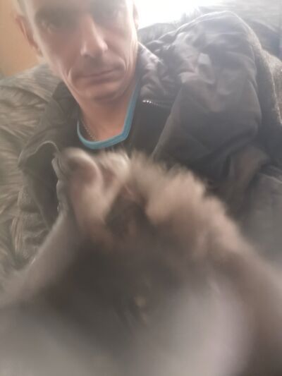  ,   , 40 ,   ,   