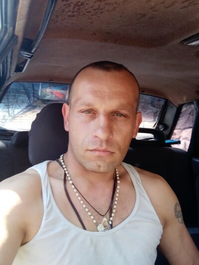  ,   Igora, 41 ,   ,   , c 